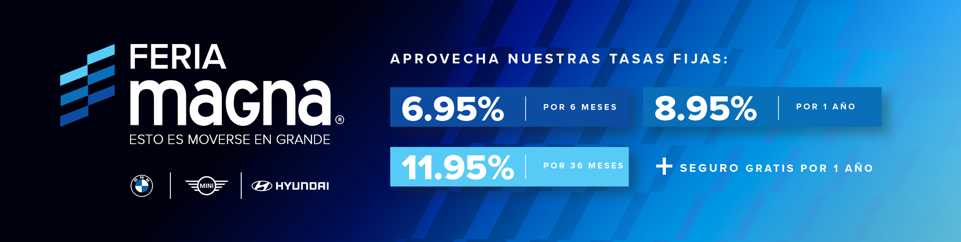 Banner publicitario Magna